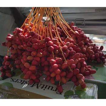 Fresh Dates
